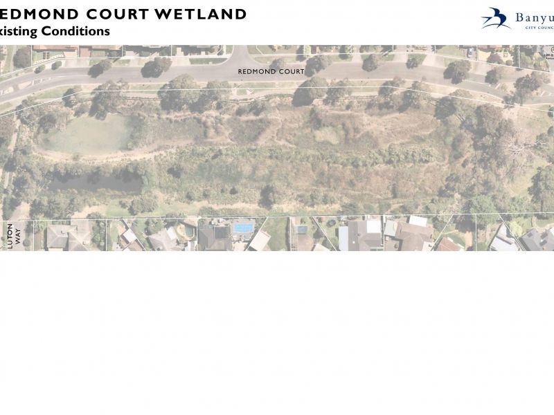 Redmond Crt Wetlands Reserve existing conditions